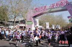 广州南沙打造“花经济”绽放发展新活力