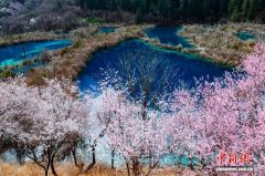 九寨沟景区实现2026年首季文旅开门红