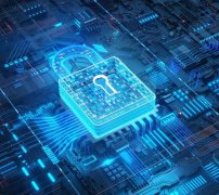 西安青年“主题式”漫游寻新趣 解锁春日新风尚